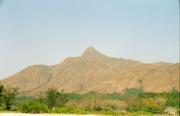 Sharp Peak