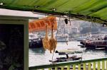 Hong Kong travelogue picture