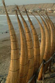 Huanchaco cabalitos