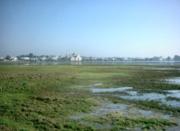 Distant view of El Rocio