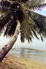 Ile Sainte Marie travelogue picture