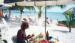 Isla Mujeres travelogue picture
