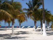 Beach in Isla