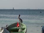 Isla Mujeres travelogue picture