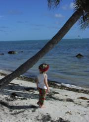 private beach in Islamorada private beach in Islamorada