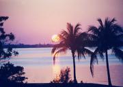 another sunset!