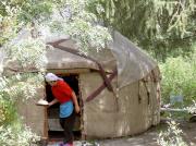yurt