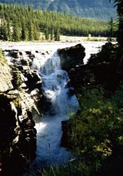 Athabasca Falls