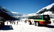 On the Athabsaca Glacier