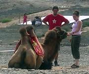 Feeding My Camel & Conor going Feeding My Camel & Conor going