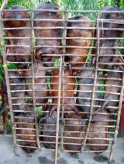 Pork... I think