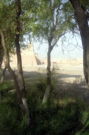Another one of the fort