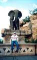 Johannesburg travelogue picture