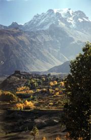 View of Jarkot