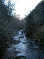 Gold Creek
