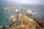 Kaka Point travelogue picture