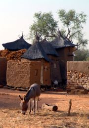 Ennde - granaries at the back and the donkey, the main workforce and transport in the country Ennde - granaries at the back and the donkey, the main workforce and transport in the country