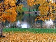 Potter Lake