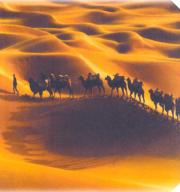Even in the XXI century there are camel caravans in Xinjiang