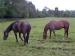 Kildare travelogue picture