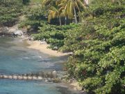 Lush Vegetation and rustic beaches! Lush Vegetation and rustic beaches!