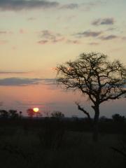 Sunset in Kruger National Park Sunset in Kruger National Park