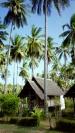 Ko Lanta travelogue picture