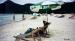 Ko Samui travelogue picture
