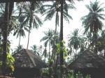 Ko Samui travelogue picture