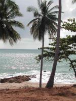 Ko Samui travelogue picture