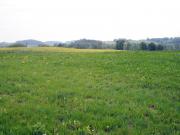 Landscapes as far as the eye can see