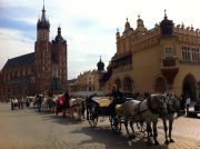 Fancy a ride? But careful - the horses' ends smell... These can be found on the Main Square.