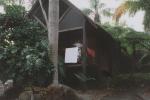 Kuranda travelogue picture
