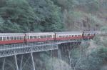 Kuranda travelogue picture