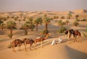 Kuwait travelogue picture