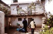 Homestead courtyard