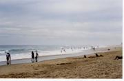Lake Tyers Beach