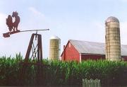 Picturesque Amish Barn