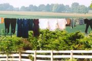 Colorful hanging laundry
