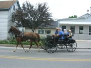 A whole Amish family going back to their farm A whole Amish family going back to their farm