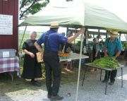 Amish with their traditional clothes selling their vegetables Amish with their traditional clothes selling their vegetables