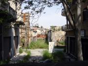 over the fence... untouched since 30 years (UN Buffer Zone) over the fence... untouched since 30 years (UN Buffer Zone)