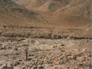 desert on Lauca tour