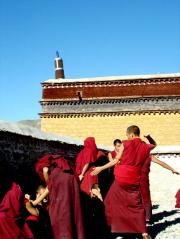 We watched monks practice their debate skills. We watched monks practice their debate skills.