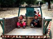 Local Children
