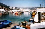 Fishing harbour, Sesimbra