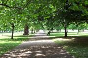 a beautiful day in hyde park. take off your shoes, lie under a tree and read a book. a beautiful day in hyde park. take off your shoes, lie under a tree and read a book.