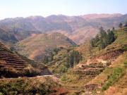 The Rice Terrace Fields.