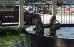 Lop Buri travelogue picture