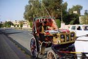 Luxor travelogue picture